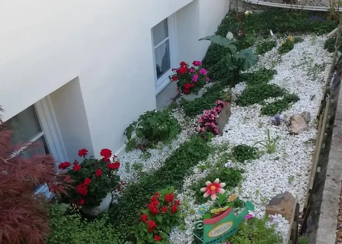 酒店 杜马诺尔酒店